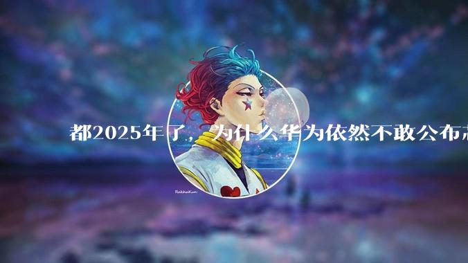 都2025年了，为什么华为依然不敢公布芯片的信息？