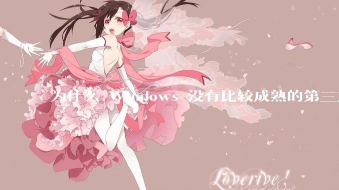 为什么 Windows 没有比较成熟的第三方桌面环境（explorer.exe）？