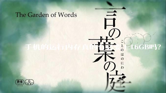 手机的运行内存真的有必要上16GB吗？